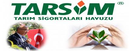 TARSM'N KAPSAMI GENLETLD