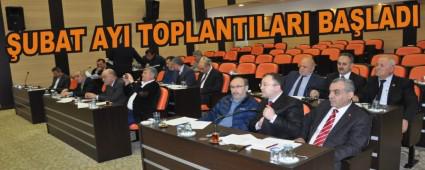 UBAT AYI TOPLANTILARI BALADI