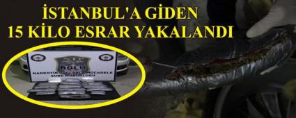 STANBUL'A GDEN 15 KLO ESRAR YAKALANDI