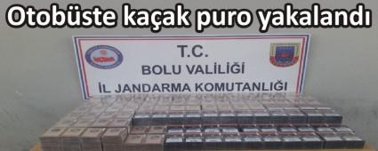 Otobste kaak puro yakaland