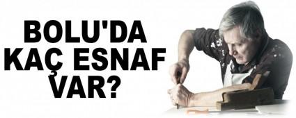 BOLU'DA KA ESNAF VAR?