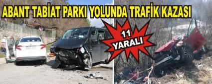 ABANT TABAT PARKI YOLUNDA TRAFK KAZASI: 11 YARALI