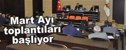 Mart Ay toplantlar balyor