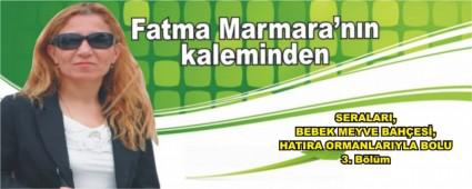 SERALARI, BEBEK MEYVE BAHES, HATIRA ORMANLARIYLA BOLU  3. Blm