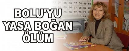 BOLU'YU YASA BOAN LM