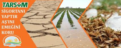 Tarm l Mdrl'nden sigorta duyurusu