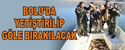 BOLU'DA YETTRLP GLE BIRAKILACAK