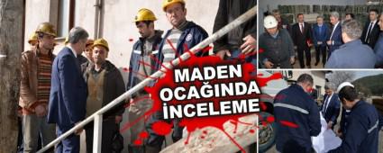MADEN OCAINDA NCELEME    