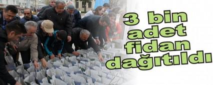 3 bin adet fidan datld