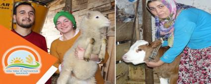 Gen ifti Projeleri start ald