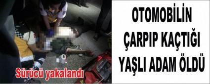 OTOMOBLN ARPIP KATII YALI ADAM LD