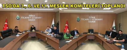 TSO\'DA 3., 6. VE 11. MESLEK KOMTELER TOPLANDI