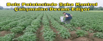 BOLU PATATESNDE SAHA KONTROL ALIMALARI DEVAM EDYOR