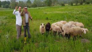 STADYUM N VAR GCMLE ALIACAIM