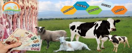 Tarmsal destekleme demeleri devam ediyor