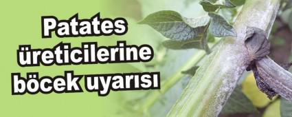 Patates reticilerine bcek uyars
