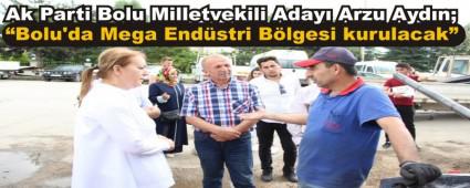 Bolu'da Mega Endstri Blgesi kurulacak
