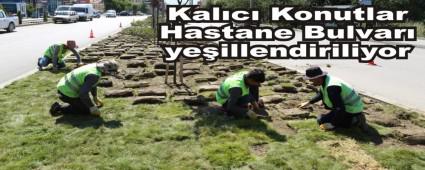 Kalc Konutlar Hastane Bulvar yeillendiriliyor