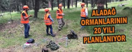 ALADA ORMANLARININ 20 YILI PLANLANIYOR