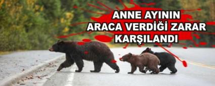 ANNE AYININ ARACA VERD ZARAR KARILANDI