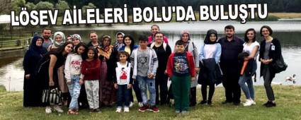 LSEV ALELER BOLU'DA BULUTU