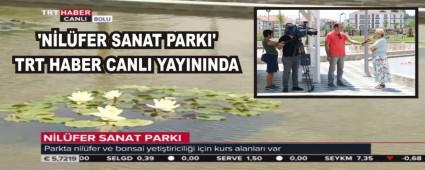 NLFER SANAT PARKI' TRT HABER CANLI YAYININDA