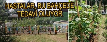 HASTALAR, BU BAHEDE TEDAV OLUYOR