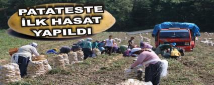 PATATESTE LK HASAT YAPILDI