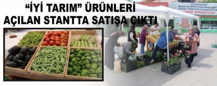 Y TARIM RNLER AILAN STANTTA SATIA IKTI