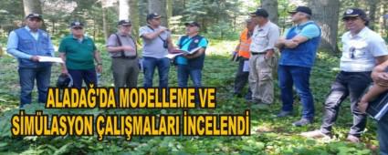 ALADA'DA MODELLEME VE SMLASYON ALIMALARI NCELEND