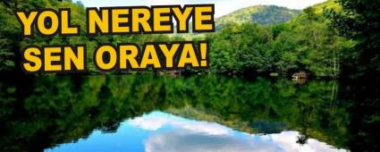 YOL NEREYE SEN ORAYA!