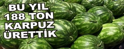BU YIL 188 TON KARPUZ RETTK