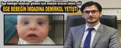 EGE BEBEN MDADINA DEMRKOL YETT