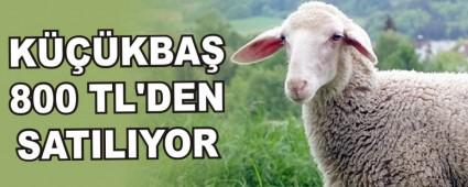 KKBA 800 TL'DEN SATILIYOR