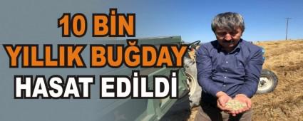 10 BN YILLIK BUDAY HASAT EDLD