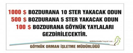 DOLAR BOZDURANA ODUN HEDYE