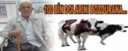 Hac Amcadan dolar kampanyasna artl destek!