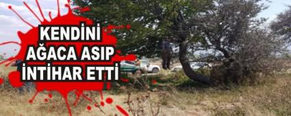 KENDN AACA ASIP NTHAR ETT