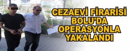 CEZAEV FRARS BOLU'DA OPERASYONLA YAKALANDI