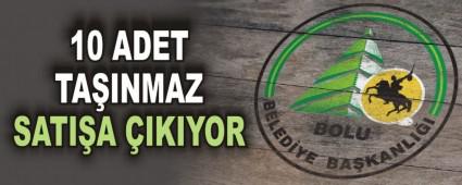 10 ADET TAINMAZ SATIA IKIYOR