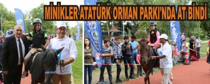 MNKLER ATATRK ORMAN PARKI'NDA AT BND