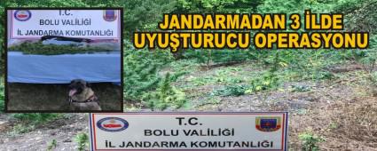 JANDARMADAN 3 LDE UYUTURUCU OPERASYONU