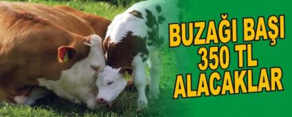 BUZAI BAI 350 TL ALACAKLAR