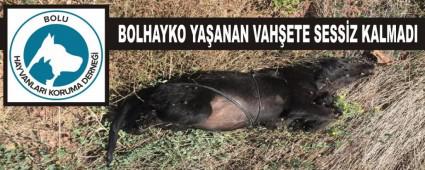 BOLHAYKO YAANAN VAHETE SESSZ KALMADI