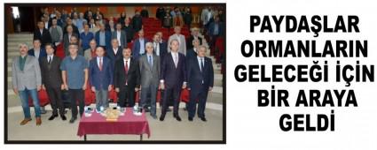 PAYDALAR ORMANLARIN GELECE N BR ARAYA GELD