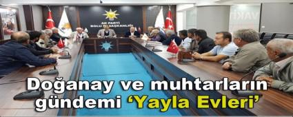 Doanay ve muhtarlarn gndemi; Yayla Evleri\'