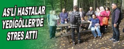 AS\'L HASTALAR YEDGLLER'DE STRES ATTI