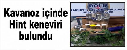 Kavanoz iinde Hint keneviri bulundu