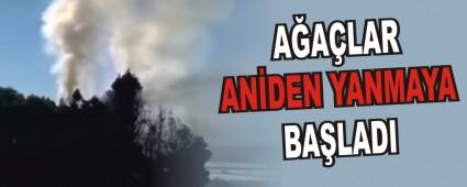 AALAR ANDEN YANMAYA BALADI