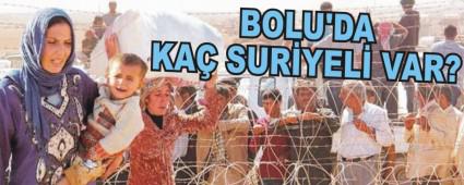 BOLU'DA KA SURYEL VAR?